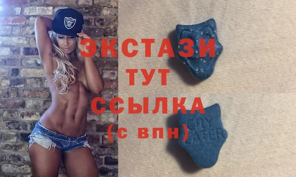 гашик Дмитриев
