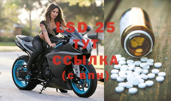 гашик Дмитриев