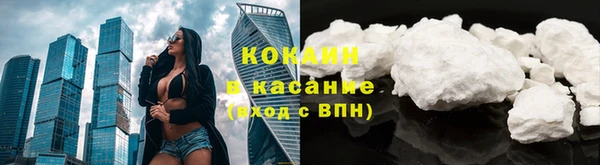 гашик Дмитриев