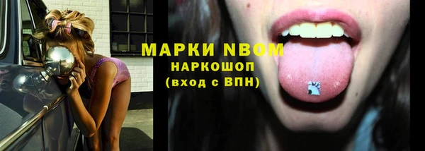 гашик Дмитриев