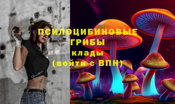 гашик Дмитриев