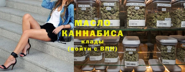 гашик Дмитриев