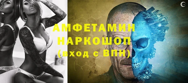 гашик Дмитриев