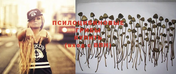 ALPHA-PVP Дмитров