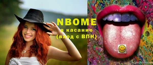 гашик Дмитриев