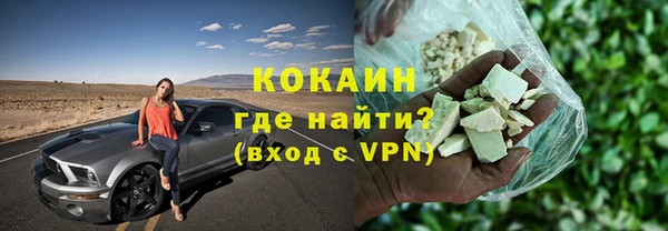 гашик Дмитриев