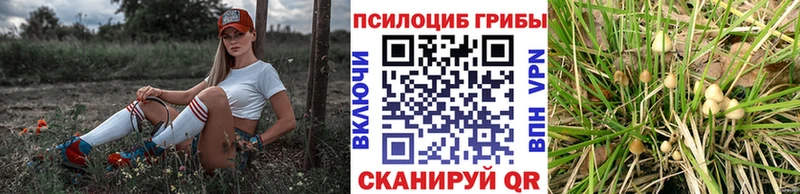 Галлюциногенные грибы Cubensis  Салехард 